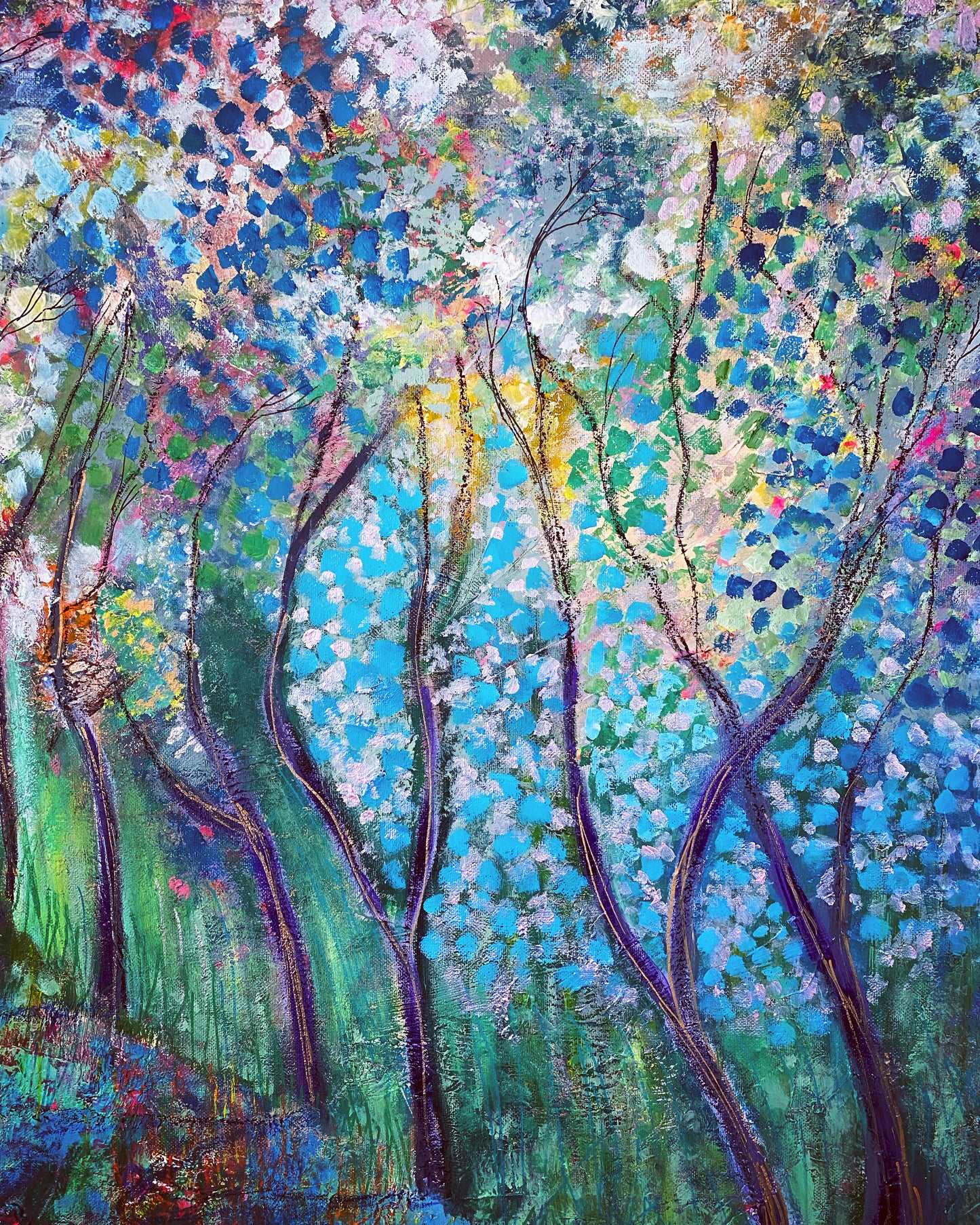 Walking in Glengarra Woods.